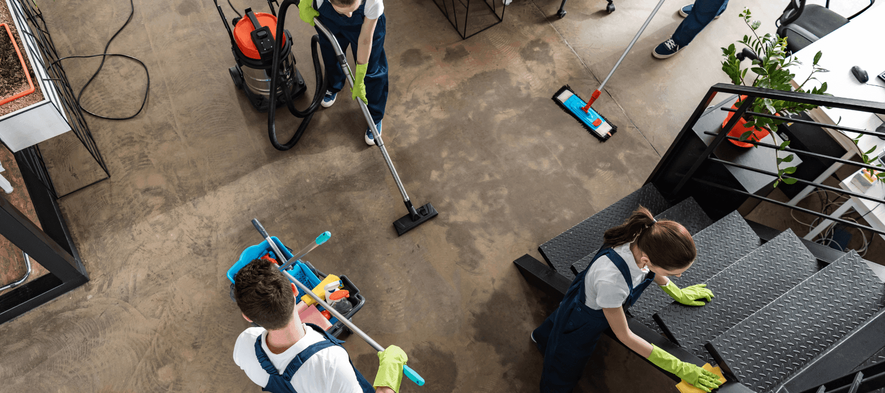 Cleaning Company software